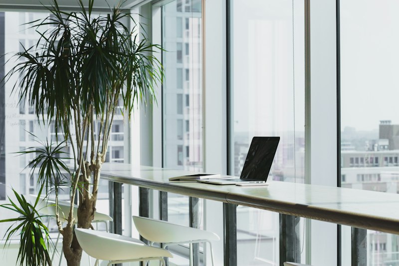 Corporate Care Focus