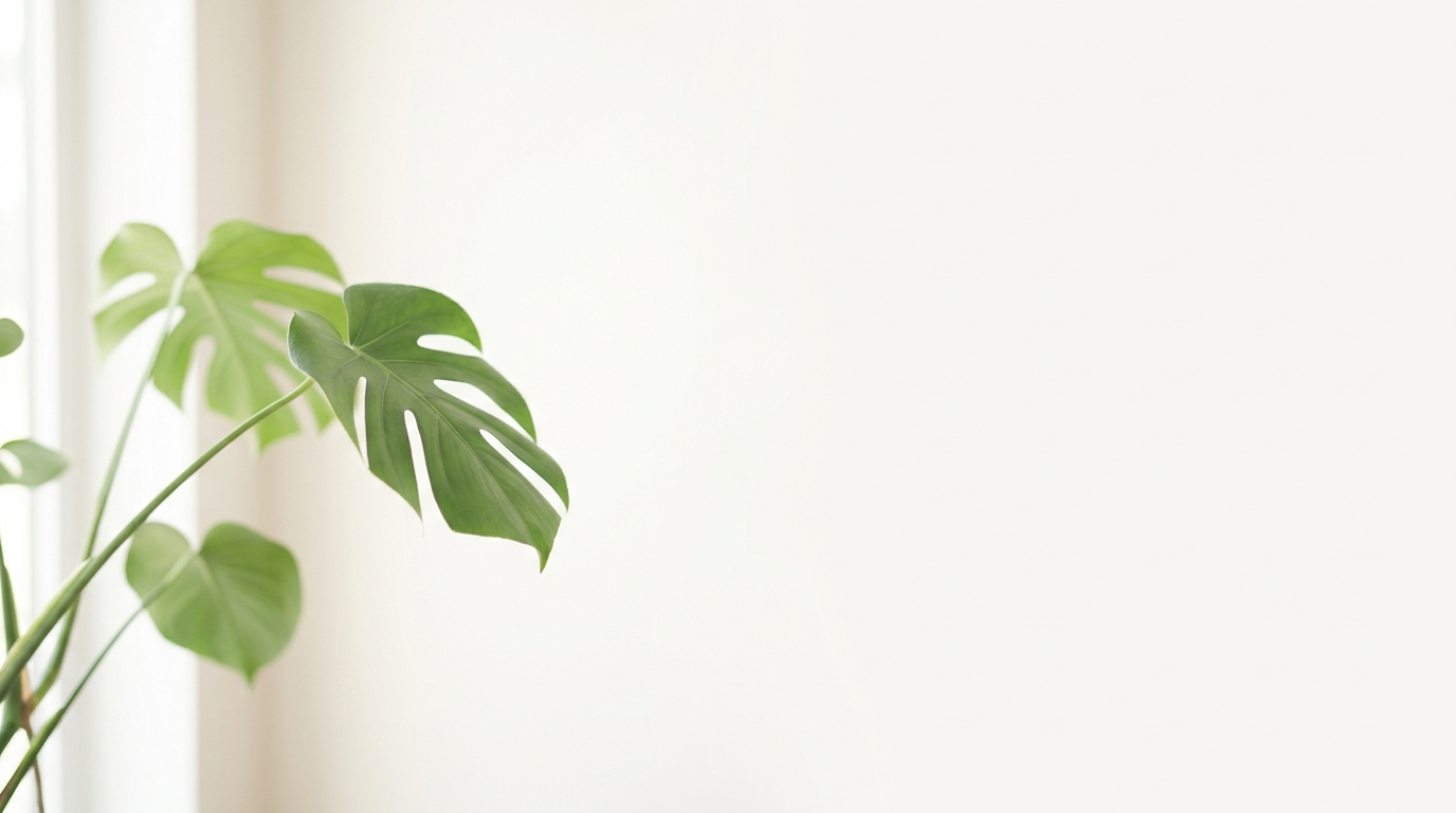 Employee Mental Health Programs & More